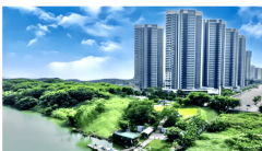 楼处、营销核心、开辟商、展现核心现场同步标